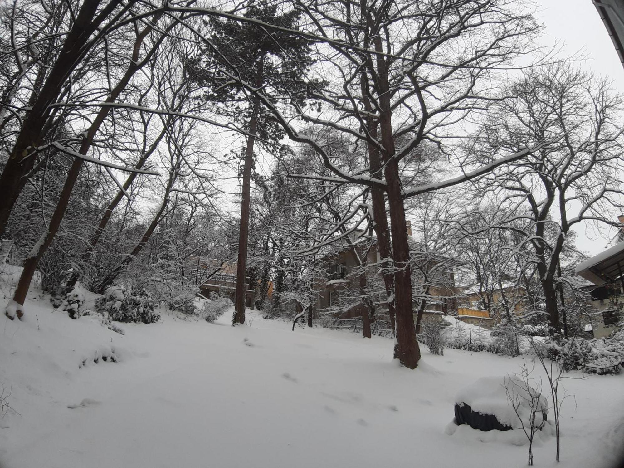 Green Hill Apartment — Photos 3